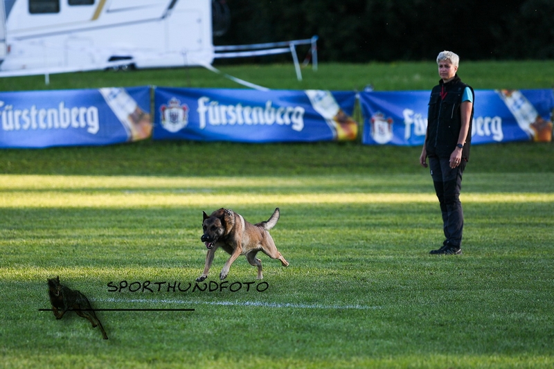 Impressionen 382.jpg